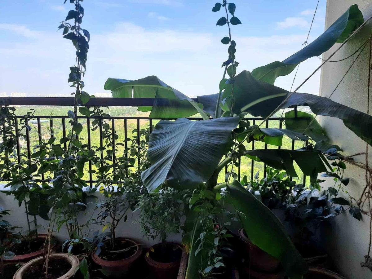 Sublime Homestay Бхубанешвар Екстериор снимка